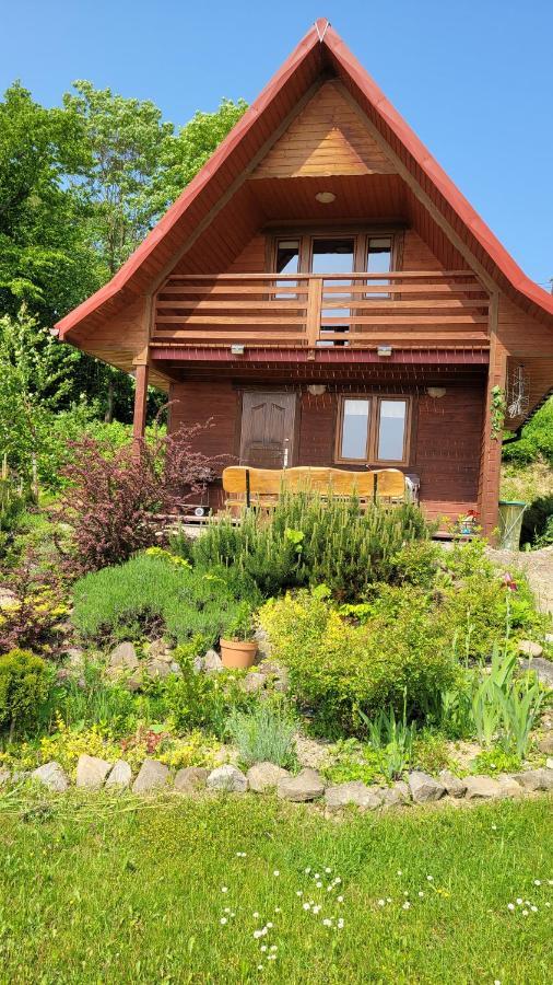 Domki Nad Jeziorem Villa Wolkowyja Ngoại thất bức ảnh